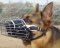 Full Padded Wire Dog Muzzle for German Shepherd-Cage Dog Muzzles