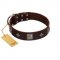 "Cold Star" Designer FDT Artisan Brown Leather German Shepherd Collar with Silver-Like Adornments