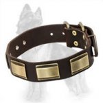 Leather German Shepherd Collar with Carved Brass Pates