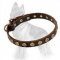 Gorgeous Wide Leather German Shepherd Collar with Dotted Circles