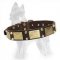 German Shepherd Studded Leather Dog Collar with Old Brass Plates