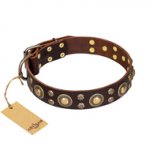 "Flower Melody" FDT Artisan Brown Leather German Shepherd Collar with Mixed Studs