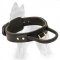 Two ply leather training dog collar with handle