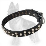 Leather German Shepherd Dog Collar With 3 Rows Of Small Pyramids/Studs