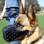 Military Leather Dog Muzzle For German Shepherd Dogs