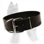 2 inch Wide Leather Dog Collar for Strong German Shepherds