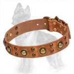 Leather German Shepherd Collar with Brass Studs and Circles