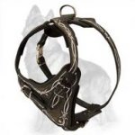 Barbed Wire Painted Leather German Shepherd Harness