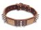 Walking GSD Shepherd Brown dog collar 18 inch/18'' collar- C86