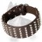Wide Leather German Shepherd Collar with Nickel Plated Cones