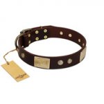 "Middle Age" FDT Artisan Brown Leather German Shepherd Collar with Old Bronze-Plated Engraved Flowers and Large Plates