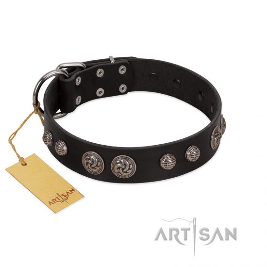 "Tricky Ricky" FDT Artisan Black Leather German Shepherd Collar Adorned with Silver-Like Conchos
