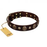 "Snazzy Paws" FDT Artisan Brown Leather German Shepherd Collar Adorned with Conchos and Medallions