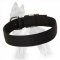 Nickel Plated Hardware Nylon Collar for German Shepherd