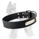 German Shepherd Leather Dog Collar with ID Tag