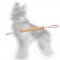 Rolled Jute German Shepherd Tug with 2 Handles for Puppy Training
