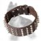 2 inch Wide Leather German Shepherd Collar with Nickel Spikes and Cones