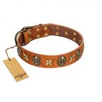 "Rockin' Doggie" FDT Artisan Tan Leather German Shepherd Collar Adorned with Stars and Skulls