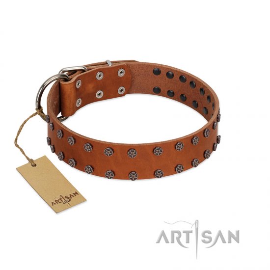 "Star Light" Stylish FDT Artisan Tan Leather German Shepherd Collar with Silver-Like Studs