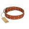 "Tawny Beauty" FDT Artisan Tan Leather German Shepherd Collar Adorned with Stars and Tiny Squares