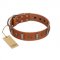 "Golden Crossbones" Handmade FDT Artisan Tan Leather German Shepherd Collar with Plates and Skulls