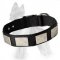 German Shepherd Nylon Dog Collar with Silver Plates