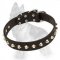 Studded Leather German Shepherd Collar with Nickel Plated Pyramids