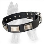 German Shepherd Buckled Leather Dog Collar with Carved Massive Nickel Plates