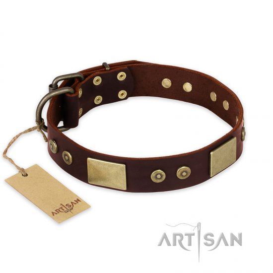 "Shining Armour" FDT Artisan Brown Leather German Shepherd Collar with Decorations - Click Image to Close