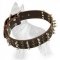 German Shepherd Leather Spiked Collar
