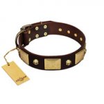 "Heavy Metal" FDT Artisan Brown Leather German Shepherd Collar with Old Bronze-like Skulls and Plates