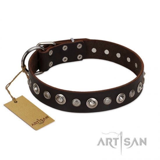 "Gorgeous Shields" FDT Artisan Brown Leather German Shepherd Collar with Old Silver-like Circles and Small Camomiles