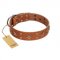 "Dreamy Gleam" FDT Artisan Tan Leather German Shepherd Collar Adorned with Stars and Squares