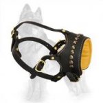 Open Nose Area Leather Dog Muzzle With Brass Studs