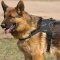 German Shepherd Harness - Nylon Adjustable Dog Harness For Patrolling
