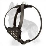 Studded Leather German Shepherd Harness for Puppies
