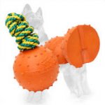 Water Dotted Rubber German Shepherd Dog Ball Unsinkable