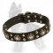 Leather German Shepherd Collar with Nickel Plated Studs and Circles