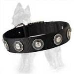German Shepherd Nylon Dog Collar with Silver Circles