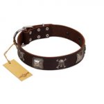 "Nut-Brown Finery" Embellished FDT Artisan Brown Leather German Shepherd Collar with Chrome Plated Crossbones and Plates