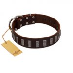 "Brown Lace" Handmade FDT Artisan Brown Leather German Shepherd Collar for Everyday Walks