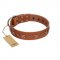 "Star Shine" Exclusive FDT Artisan Tan Leather German Shepherd Collar with Silver-Like Adornments
