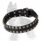 German Shepherd Leather Dog Collar with 2 Rows of Nickel Square Studs