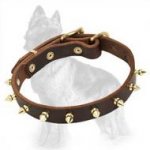 German Shepherd Spiked Leather Dog Collar with One Row of Glossy Brass Spikes