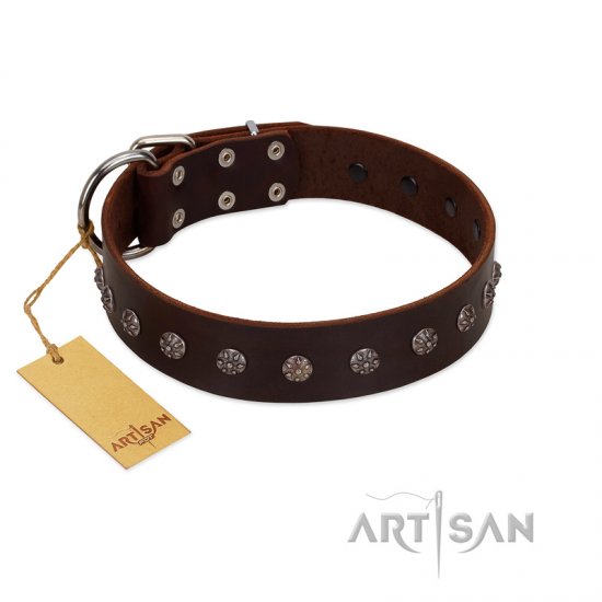 "Graceful Classic" Mod FDT Artisan Brown Leather German Shepherd Collar