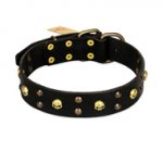 "Heavy Metal" Leather German Shepherd Collar with Skulls and Studs 1 1/2 inch (40 mm)