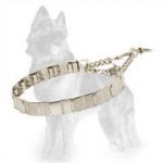 Martingale Neck Tech Prong Collar Herm Sprenger of Stainless Steel