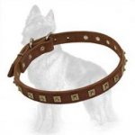 Stylish Genuine Leather Collar With Studs