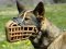 Leather Basket Dog Muzzle for German Shepherd