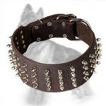 3 inch Leather German Shepherd Collar with 4 Rows Nickel Spikes